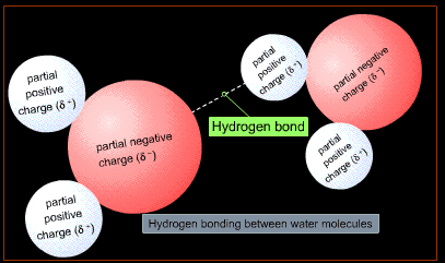 hydrogen bond forms in due to polar water molecule